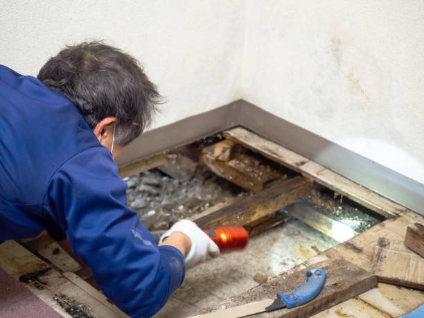 Best Water Damage Restoration  in Samoset, FL