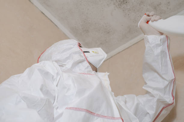 Best Mold Testing  in Samoset, FL